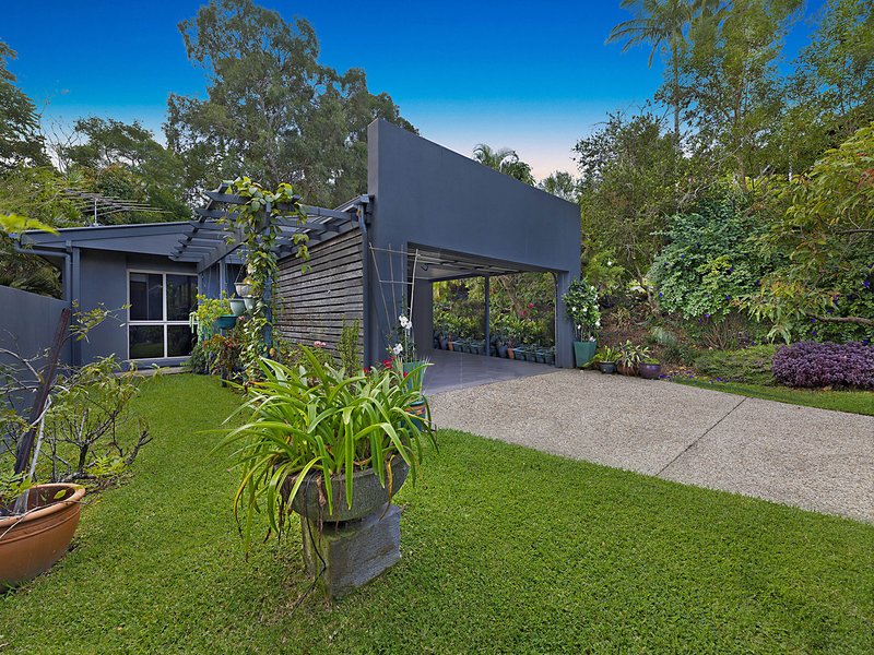 Photo - 20 Rhapis Court, Buderim QLD 4556 - Image 3