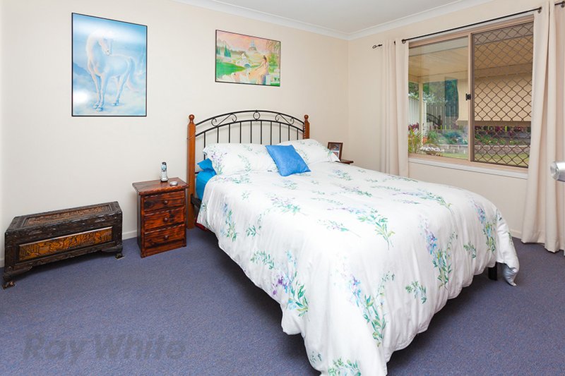 Photo - 20 Richard Street, Camira QLD 4300 - Image 6