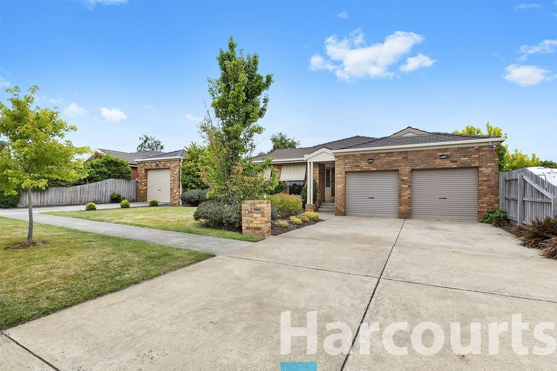 Photo - 20 Robertson Drive, Alfredton VIC 3350 - Image 4