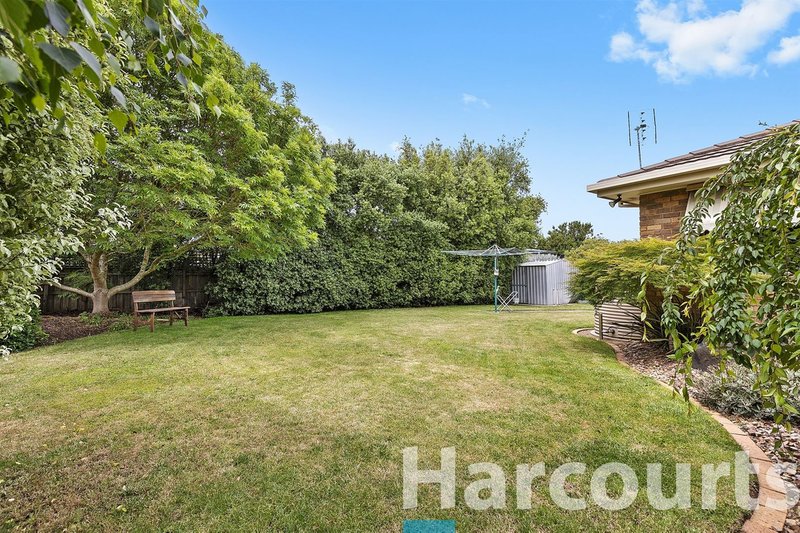 Photo - 20 Robertson Drive, Alfredton VIC 3350 - Image 9