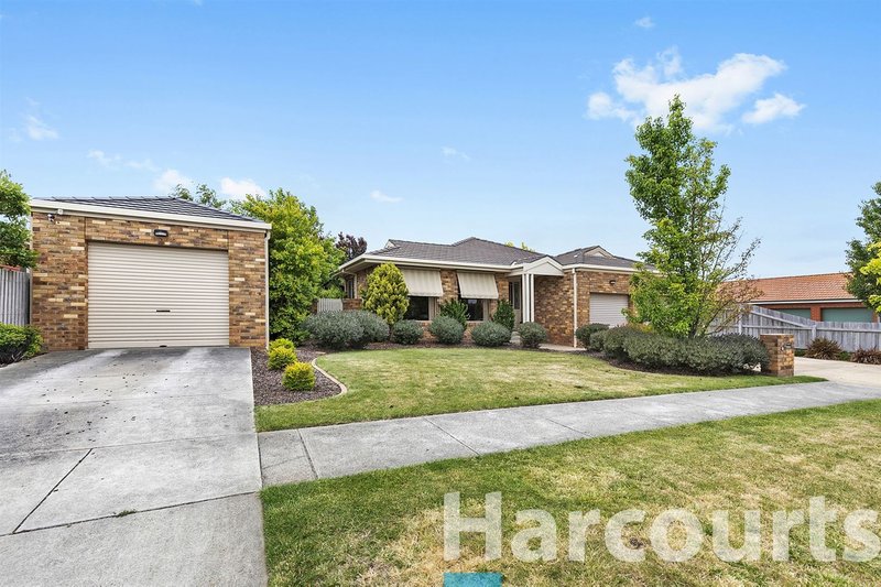 Photo - 20 Robertson Drive, Alfredton VIC 3350 - Image 19