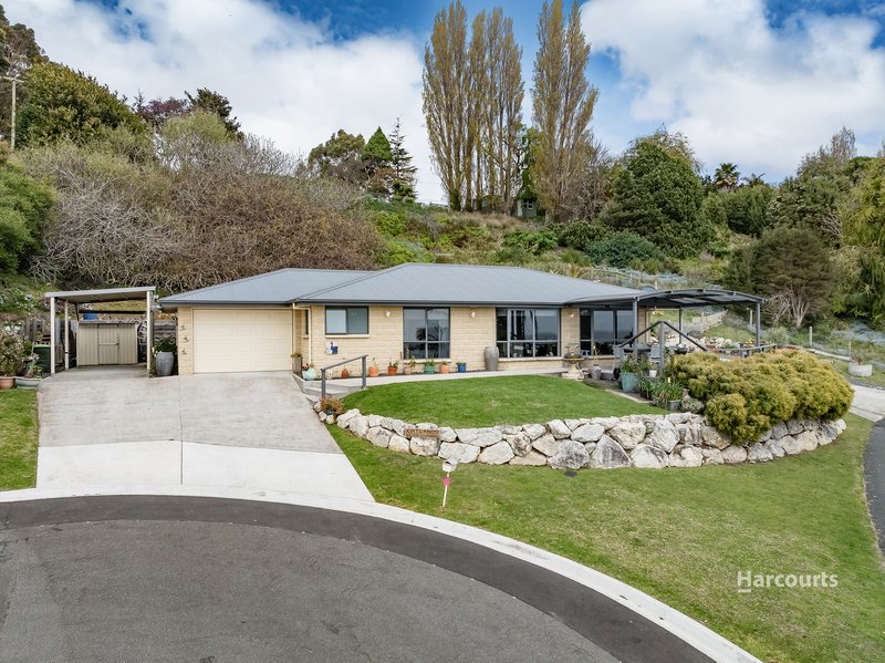 20 Seaside Crescent, Penguin TAS 7316