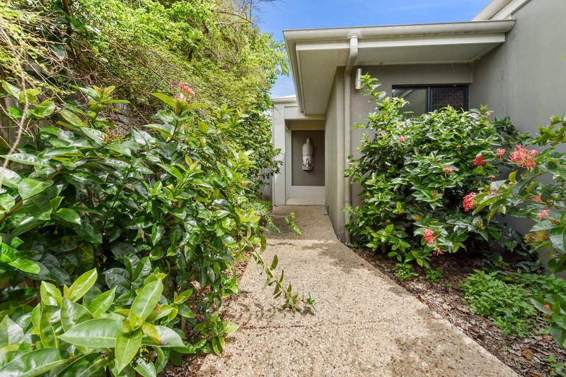 Photo - 20 Seclusion Drive, Palm Cove QLD 4879 - Image 1