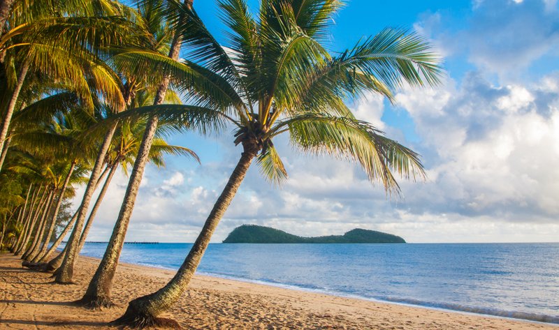 Photo - 20 Seclusion Drive, Palm Cove QLD 4879 - Image 15