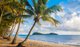 Photo - 20 Seclusion Drive, Palm Cove QLD 4879 - Image 30