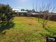 Photo - 20 Shenton Avenue, Bankstown NSW 2200 - Image 2