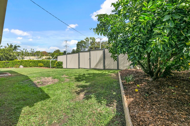 Photo - 20 Spoonbill Street, Birkdale QLD 4159 - Image 9