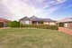 Photo - 20 Stanley Street, Pittsworth QLD 4356 - Image 1