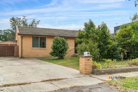 Photo - 20 Sundew Crescent, O'Connor ACT 2602 - Image 11