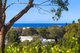 Photo - 20 Taiyul Road, North Narrabeen NSW 2101 - Image 9