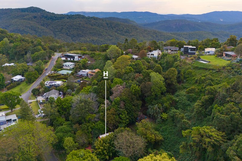 Photo - 20 Tarlington Road, Lower Beechmont QLD 4211 - Image 20