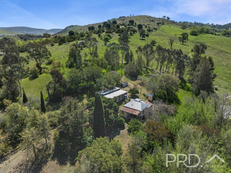 Photo - 20 Victoria Hill Road, Adelong NSW 2729 - Image 22