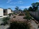 Photo - 20 Wambo Street, Condamine QLD 4416 - Image 5