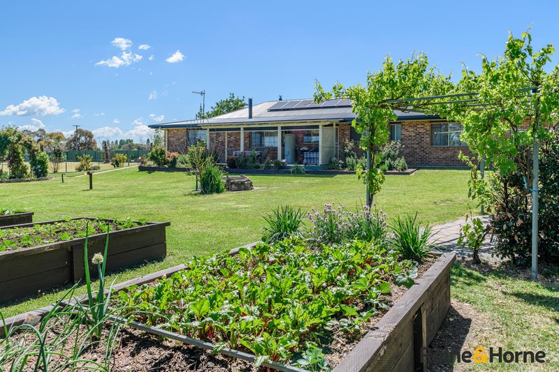 Photo - 200 Dumaresq Street, Glen Innes NSW 2370 - Image 14