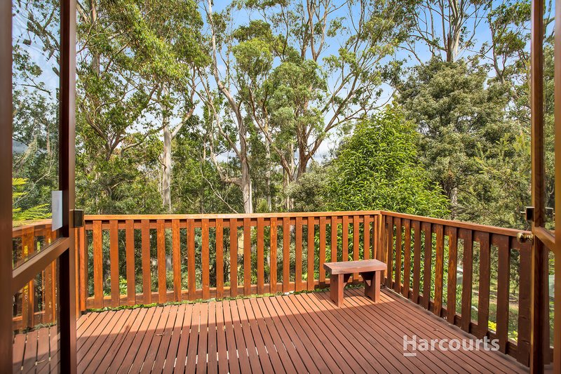 Photo - 200 Jeffries Road, Paradise TAS 7306 - Image 16