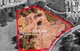 Photo - 200 Woolcoot Road, Wellard WA 6170 - Image 2