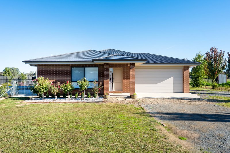 Photo - 2001A Culcairn Holbrook Road, Morven NSW 2660 - Image 25