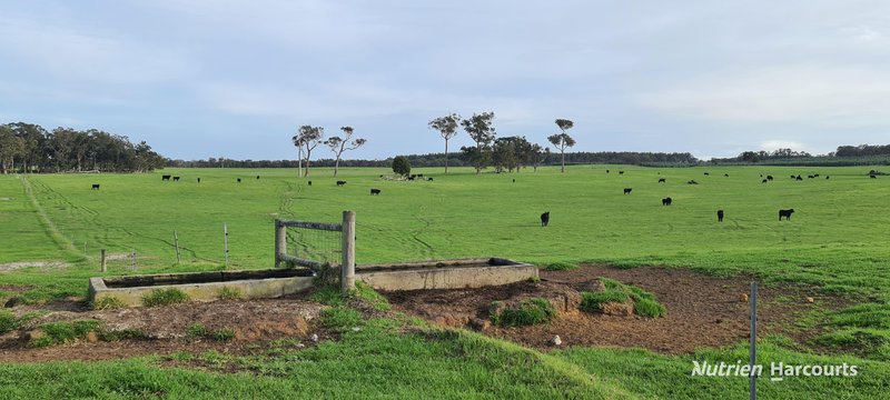 Photo - 2003 Settlement Road, Napier WA 6330 - Image 7