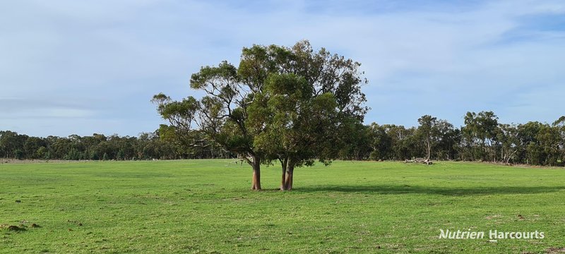 Photo - 2003 Settlement Road, Napier WA 6330 - Image 11