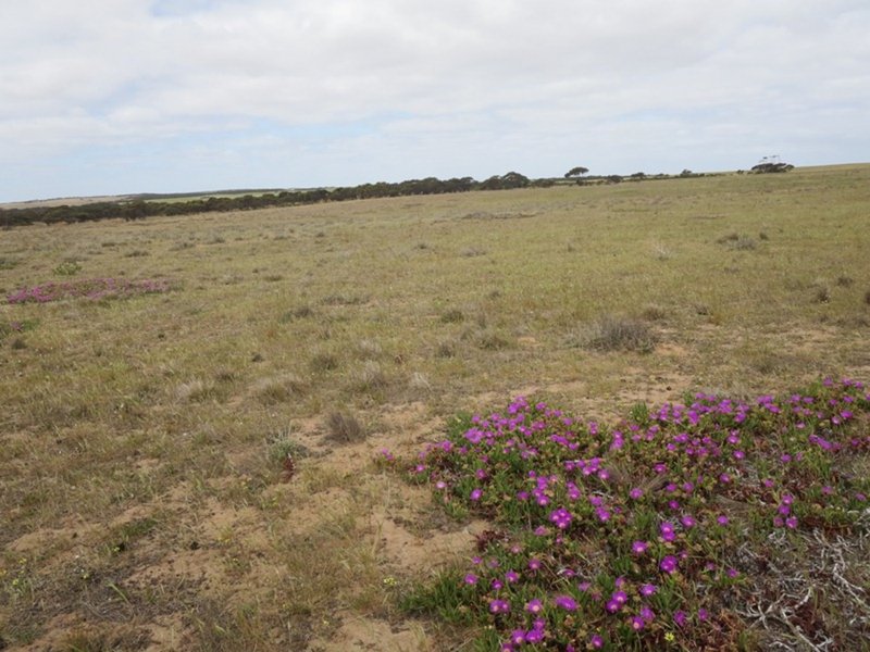 Photo - 2007 Boundary Rd , Murray Bridge East SA 5253 - Image 12