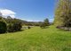 Photo - 201 Deep Creek Road, Hannam Vale NSW 2443 - Image 23