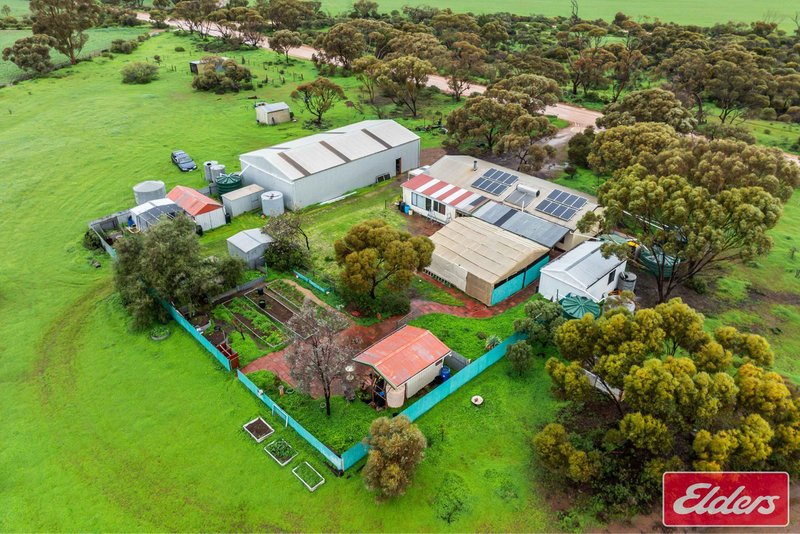Photo - 201 Dows Road, Owen SA 5460 - Image 2