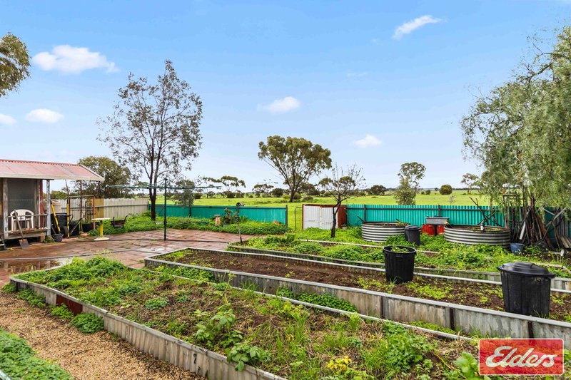 Photo - 201 Dows Road, Owen SA 5460 - Image 21