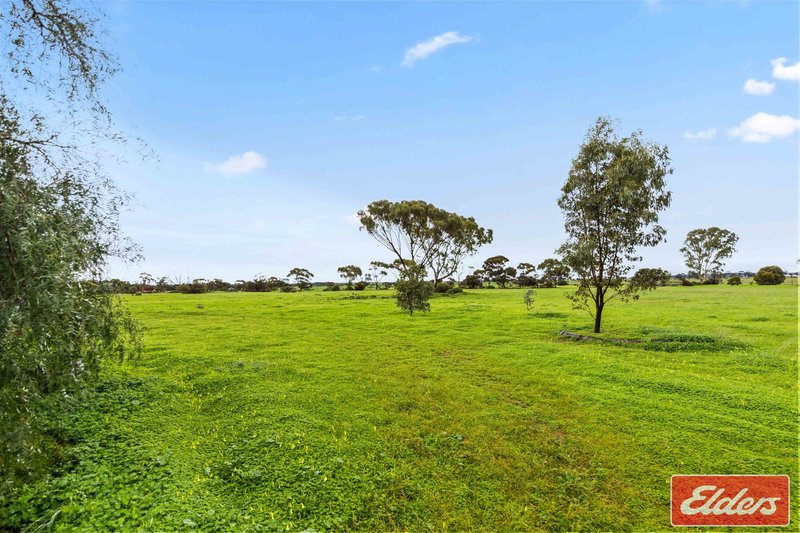 Photo - 201 Dows Road, Owen SA 5460 - Image 28