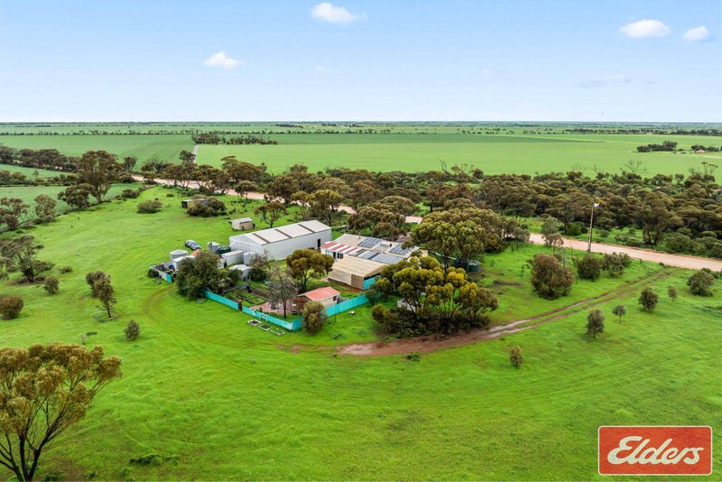 Photo - 201 Dows Road, Owen SA 5460 - Image 30