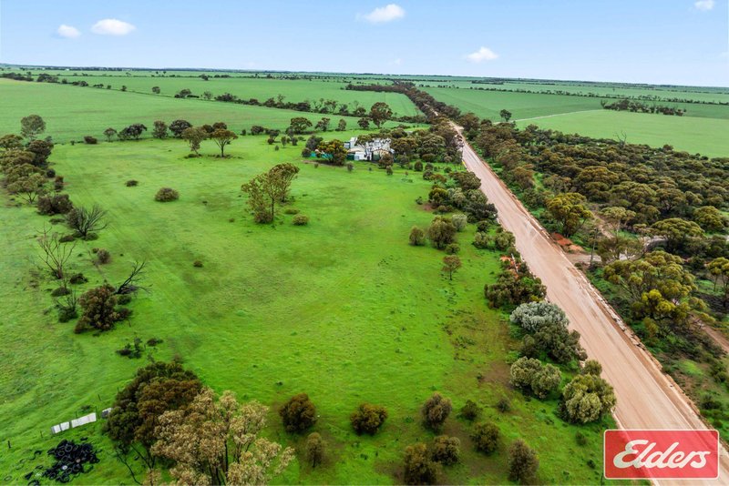 Photo - 201 Dows Road, Owen SA 5460 - Image 31
