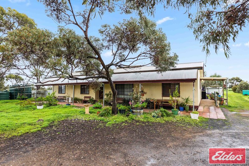 Photo - 201 Dows Road, Owen SA 5460 - Image 33