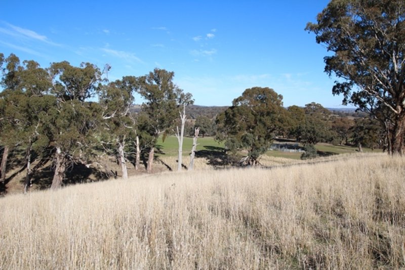 Photo - 201 Gallymont Road, Mandurama NSW 2792 - Image 4