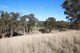 Photo - 201 Gallymont Road, Mandurama NSW 2792 - Image 4