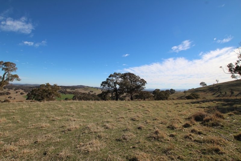 Photo - 201 Gallymont Road, Mandurama NSW 2792 - Image 13