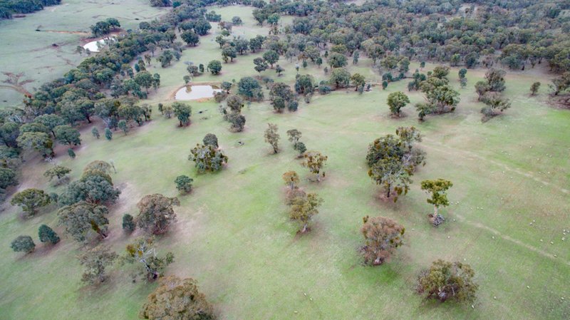 Photo - 201 Gallymont Road, Mandurama NSW 2792 - Image 16