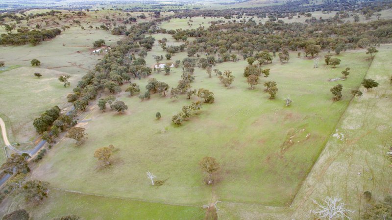 Photo - 201 Gallymont Road, Mandurama NSW 2792 - Image 18