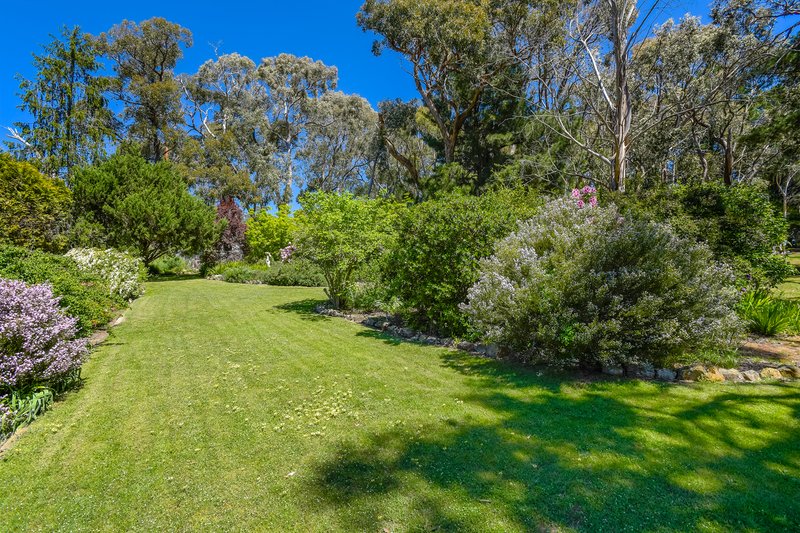 Photo - 201 Shepherds Hill Road, Lauriston VIC 3444 - Image 20