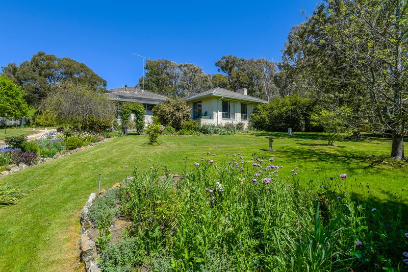 Photo - 201 Shepherds Hill Road, Lauriston VIC 3444 - Image 23