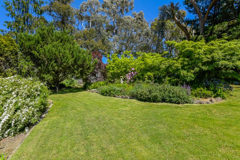 Photo - 201 Shepherds Hill Road, Lauriston VIC 3444 - Image 24