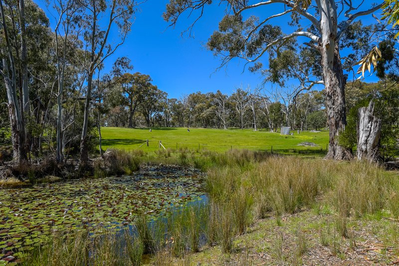 Photo - 201 Shepherds Hill Road, Lauriston VIC 3444 - Image 26