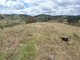 Photo - 201/2122 Long Point Rd , Mullion Creek NSW 2800 - Image 8