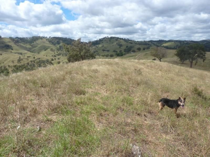 Photo - 201/2122 Long Point Rd , Mullion Creek NSW 2800 - Image 8