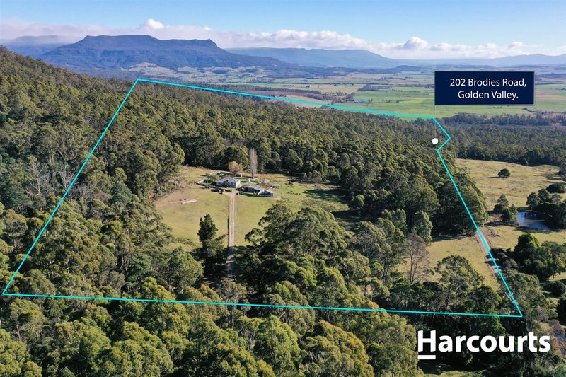 202 Brodies Road, Golden Valley TAS 7304