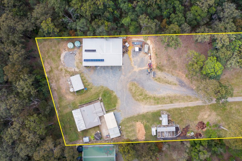 Photo - 202 Hein Road, Buccan QLD 4207 - Image 16