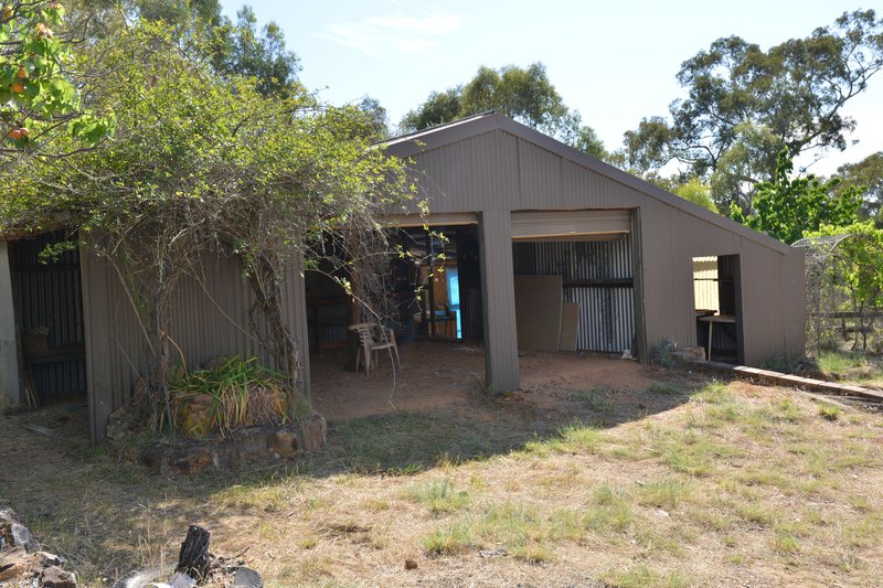 Photo - 202 Homeleigh Drive, Coonabarabran NSW 2357 - Image 8