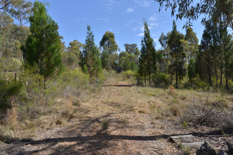 Photo - 202 Homeleigh Drive, Coonabarabran NSW 2357 - Image 9