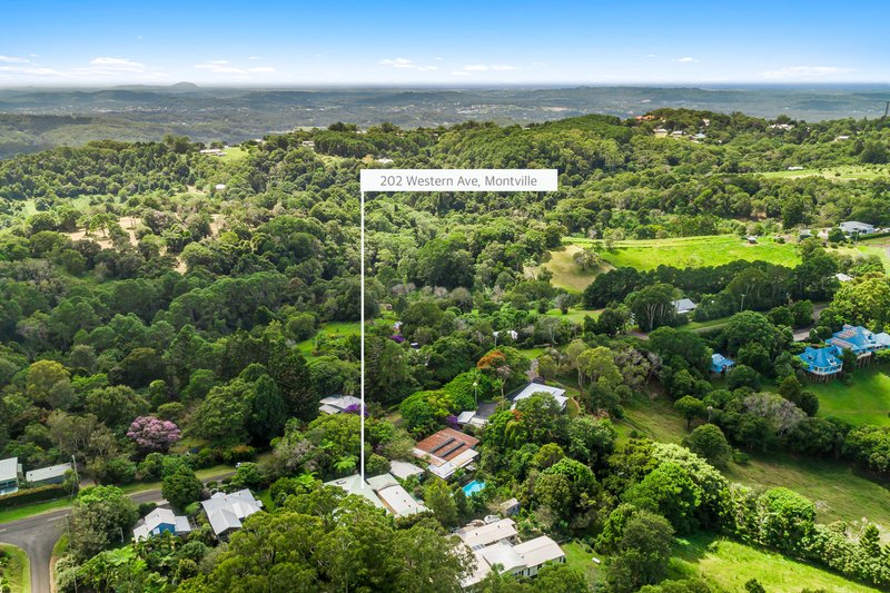 Photo - 202 Western Avenue, Montville QLD 4560 - Image 16