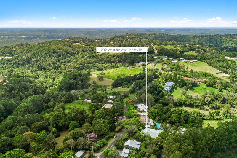 Photo - 202 Western Avenue, Montville QLD 4560 - Image 17