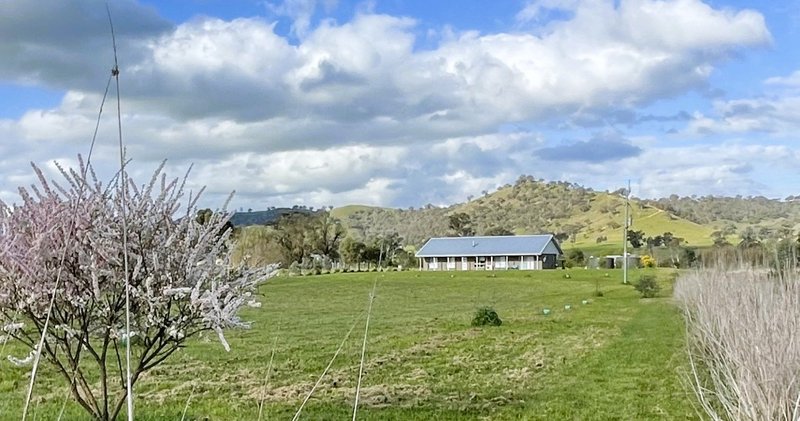 Photo - 2020 Adelong Road, Gundagai NSW 2722 - Image 30