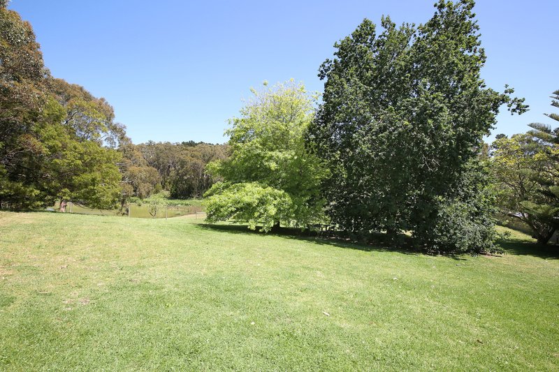 Photo - 2028 Greenhill Road, Carey Gully SA 5144 - Image 16